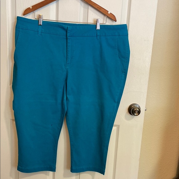 Market & Spruce Pants - Women's Teal Shorts